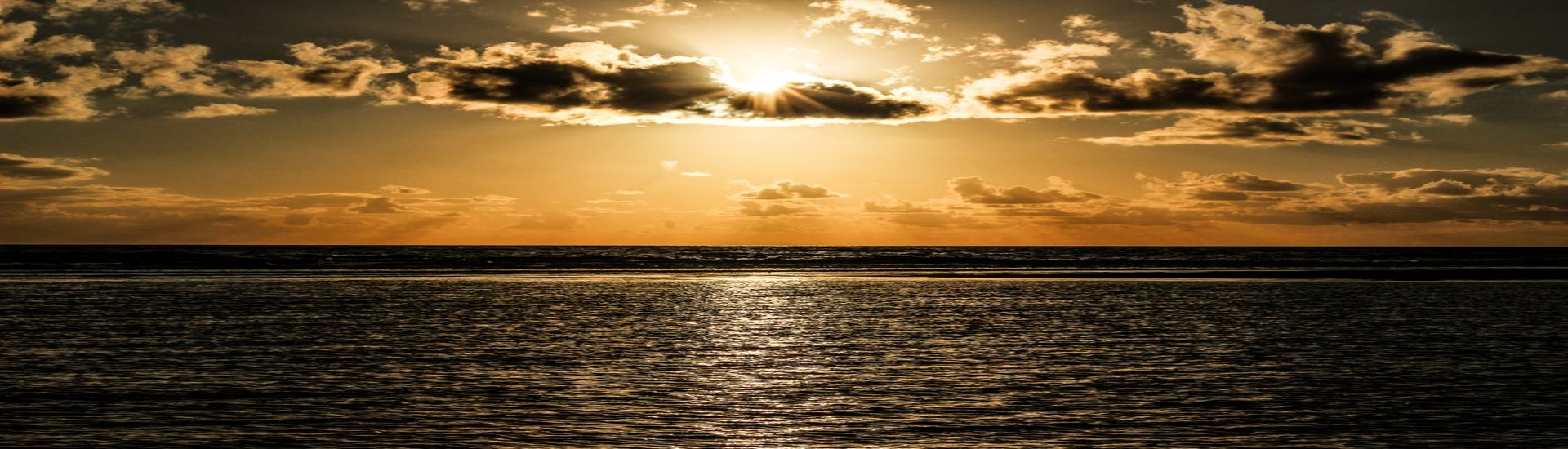 shutterstock_9053485